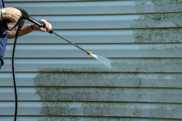 Best Driveway Cleaning and Restoration in Clinton, UT